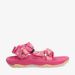 Roze