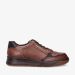 Bruin