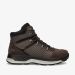 Bruin